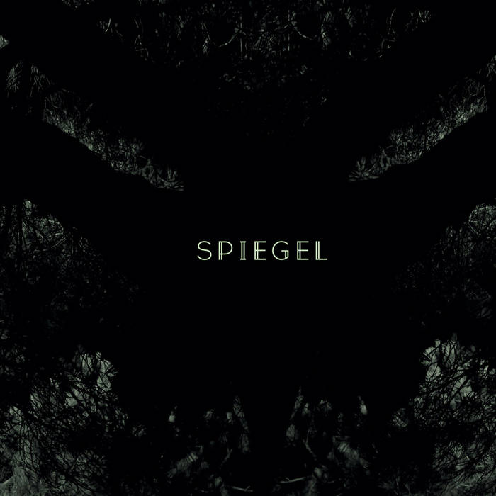 SPIEGEL - Spiegel cover 