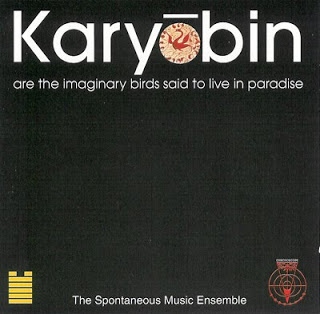 SPONTANEOUS MUSIC ENSEMBLE - Karyobin cover 