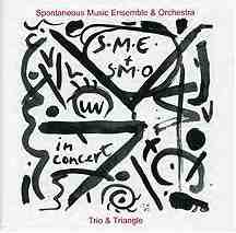 SPONTANEOUS MUSIC ENSEMBLE - Trio & Triangle cover 