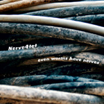 STEFANO FERRIAN - Nerve4tet: Even worms have nerves cover 