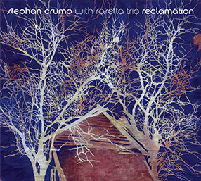 STEPHAN CRUMP - Reclamation cover 