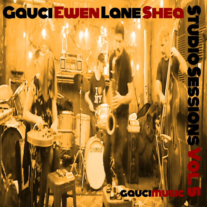 STEPHEN GAUCI - Stephen Gauci, Sandy Ewen, Adam Lane, Kevin Shea : Studio Sessions Vol. 5 cover 