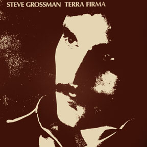 STEVE GROSSMAN - Terra Firma cover 