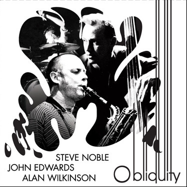 STEVE NOBLE - Steve Noble, John Edwards, Alan Wilkinson ‎: Obliquity cover 
