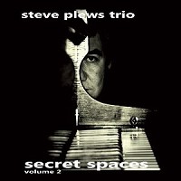 STEVE PLEWS - Secret Spaces, Vol. 2 cover 