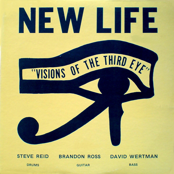 STEVE REID (DRUMS) - New Life Trio ‎: Visions Of The Third Eye cover 