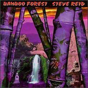 STEVE REID (PERCUSSION) - Bamboo Forest cover 