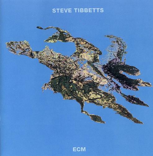 STEVE TIBBETTS - Big Map Idea cover 