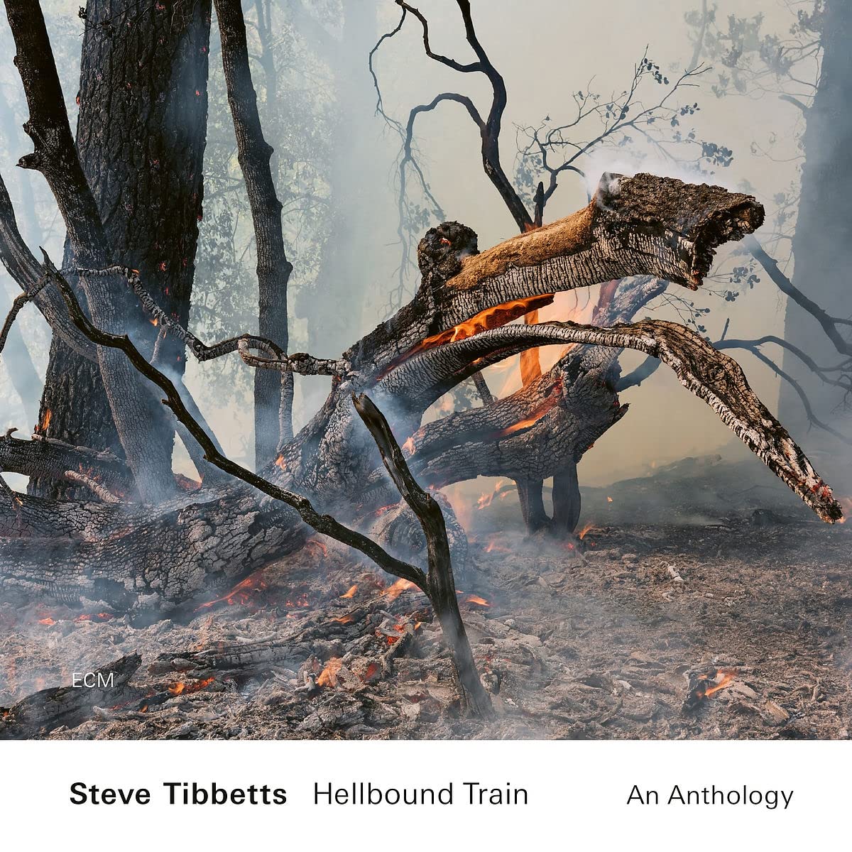 STEVE TIBBETTS - Hellbound Train : An Anthology cover 