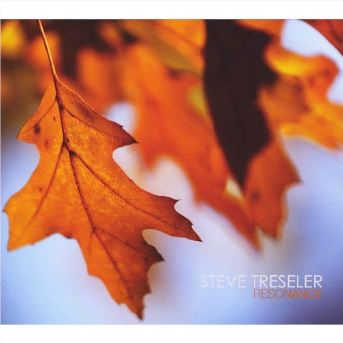 STEVE TRESELER - Resonance cover 