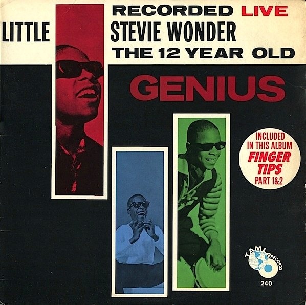 STEVIE WONDER - 12 Year Old Genius cover 