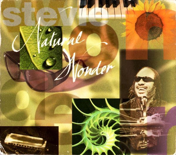 STEVIE WONDER - Natural Wonder cover 