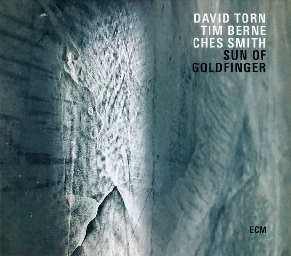 SUN OF GOLDFINGER - David Torn / Tim Berne / Ches Smith ‎: Sun Of Goldfinger cover 