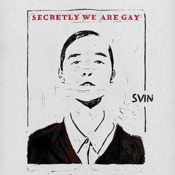 SVIN - Secretly We Are Gay cover 
