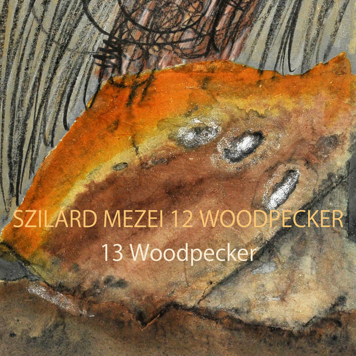 SZILÁRD MEZEI - 13 Woodpecker cover 