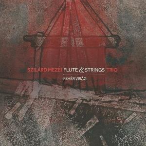 SZILÁRD MEZEI - Szilárd Mezei Flute & Strings Trio : Fehér Virág cover 