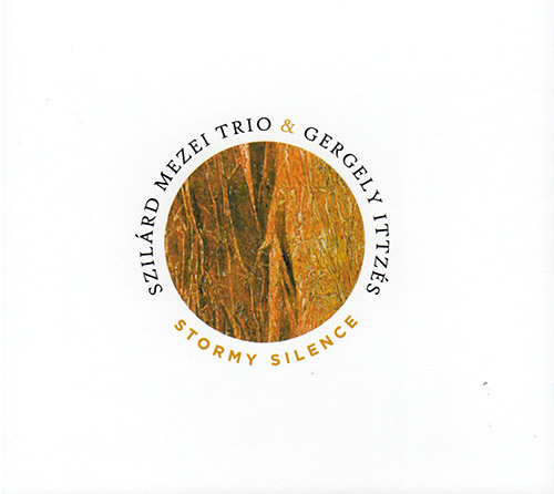 SZILÁRD MEZEI - Szilard Mezei Trio & Gergely Ittzes : Stormy Silence / Viharos Csend cover 
