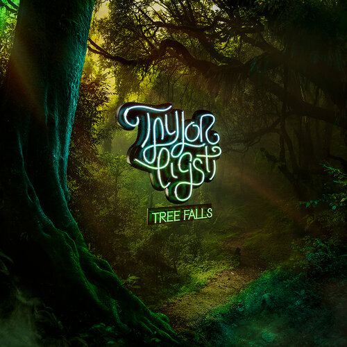 TAYLOR EIGSTI - Tree Falls cover 
