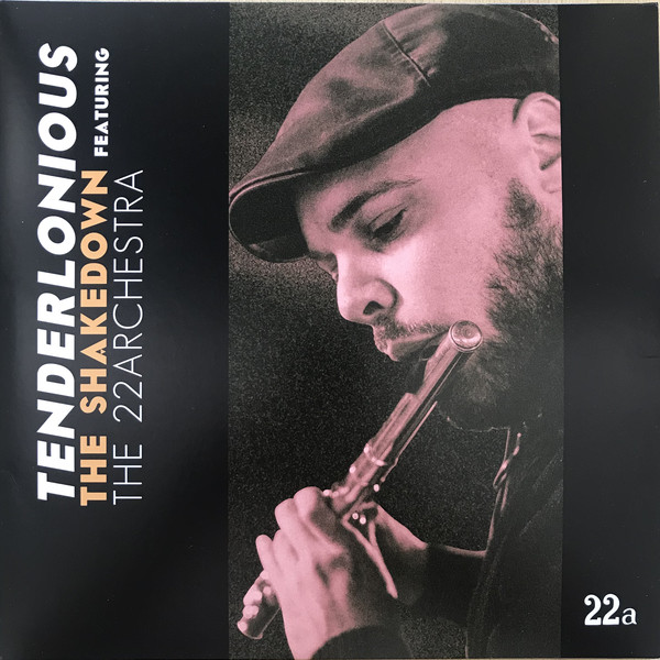 TENDERLONIOUS - The Shakedown featuring The 22archestra cover 