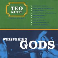 TEO MACERO - Whispering Gods cover 