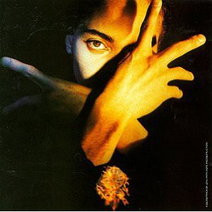 TERENCE TRENT D' ARBY - Terence Trent D'Arby's Neither Fish Nor Flesh: A Soundtrack Of Love, Faith, Hope, And Destruction cover 