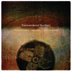 TERRENCE MCMANUS - Terrence McManus, Mark Helias, Gerry Hemingway : Transcendental Numbers cover 
