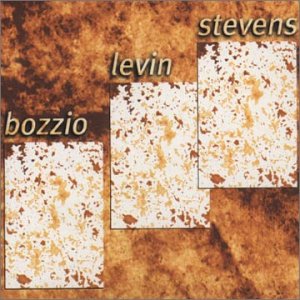 TERRY BOZZIO - Bozzio Levin Stevens ‎: Situation Dangerous cover 