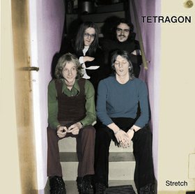 TETRAGON - Stretch cover 
