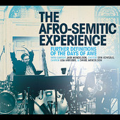 THE AFRO-SEMITIC EXPERIENCE - Further Definitions of the Days of Awe (feat. Jack Mendelson, Erik Contzius, Lisa Arbisser & Daniel Mendelson) cover 