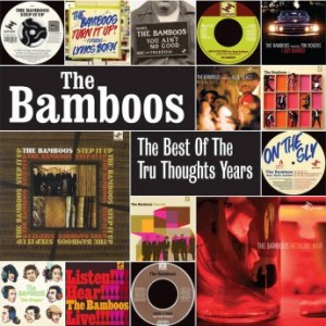 THE BAMBOOS - The Best of the Tru Thoughts Years cover 