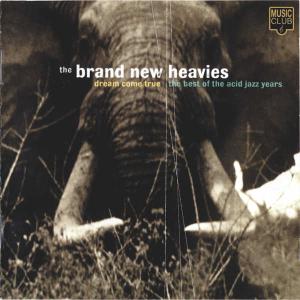 THE BRAND NEW HEAVIES - Dream Come True: The Best of the Acid Jazz Years cover 