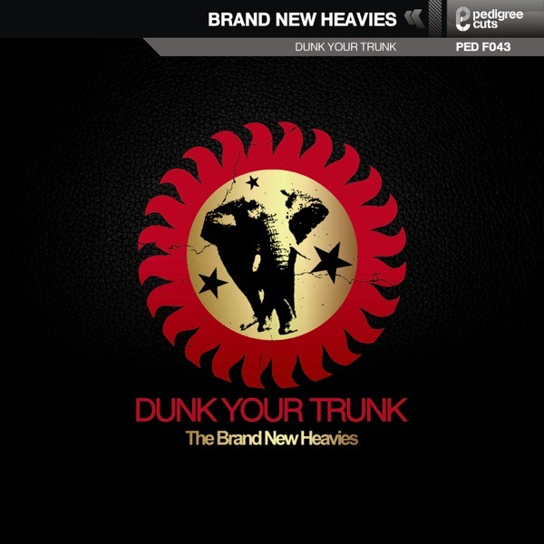THE BRAND NEW HEAVIES - Dunk Your Trunk cover 