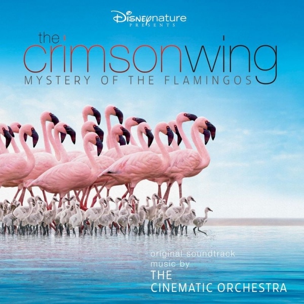 THE CINEMATIC ORCHESTRA - The Cinematic Orchestra & The London Metropolitan Orchestra ‎– Crimson Wing : Mystery Of The Flamingos cover 