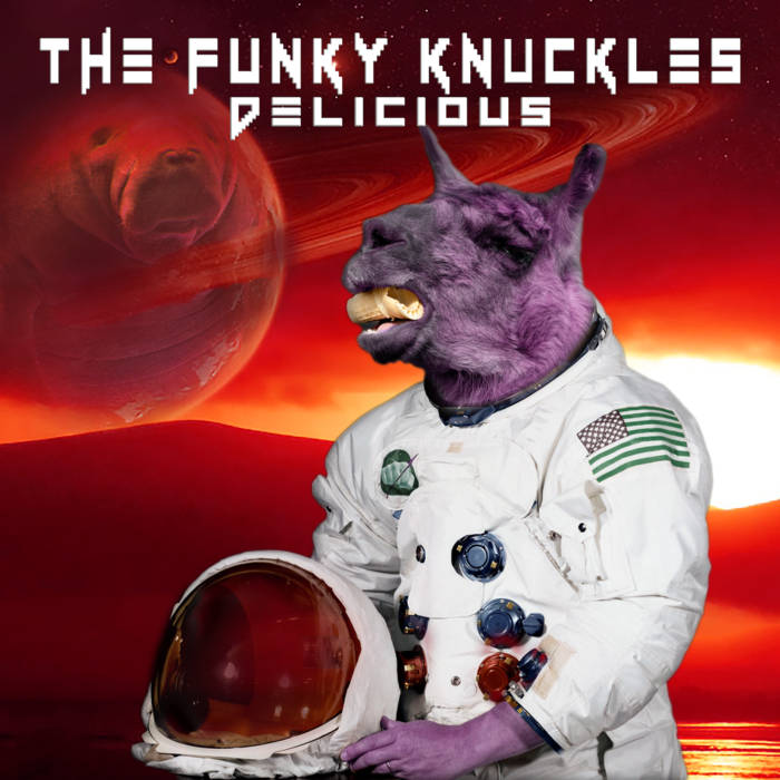 THE FUNKY KNUCKLES - Delicious cover 