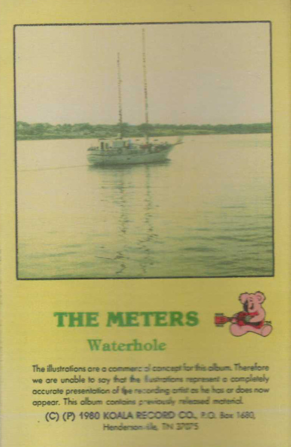 THE METERS - Waterhole cover 