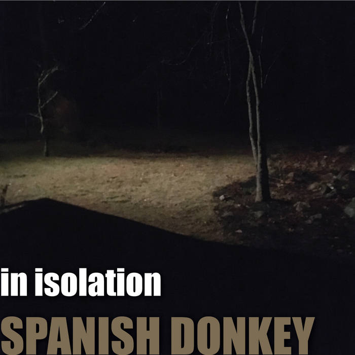 THE SPANISH DONKEY - In Isolation cover 
