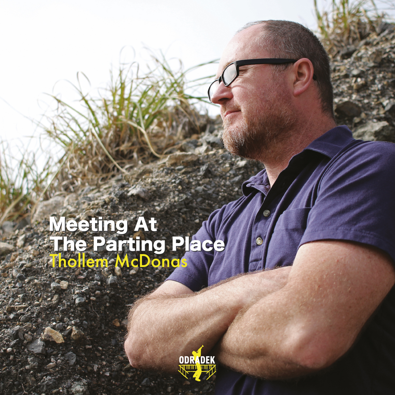 THOLLEM MCDONAS - Meeting At The Parting Place cover 