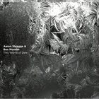 AARON SHRAGGE Aaron Shragge & Ben Monder : This World of Dew album cover