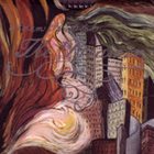 ADAM RUDOLPH / GO: ORGANIC ORCHESTRA Dreamer album cover