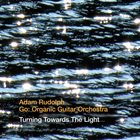 ADAM RUDOLPH / GO: ORGANIC ORCHESTRA Go: Organic Orchestra ‎: Turning Towards The Light album cover