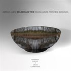 ADRIÁN IAIES Madera, Cuero Y Unas Campanas album cover