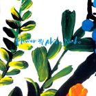 AKIRA JIMBO Flower album cover