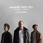 AMAURY FAYE Amaury Faye Trio ‎: Live In Brussels album cover