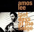 AMOS LEE Last Days At The Lodge album cover