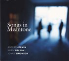 ANDERS JORMIN Anders Jormin - Karin Nelson - Jonas Simonson ‎: Songs In Meantone album cover
