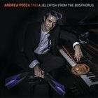 ANDREA POZZA A Jellyfish From the Bosphorus album cover