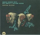 ANDREAS SCHAERER Perpetual Delirium album cover