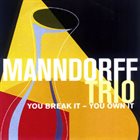 ANDY MANNDORFF You Break It - You Own It album cover