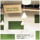ANGELICA SANCHEZ Angelica Sanchez, Danilo Gallo, Tom Rainey : Live At Ibeam, Brooklyn NYC 2011 album cover