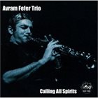 AVRAM FEFER Avram Fefer Trio ‎: Calling All Spirits album cover